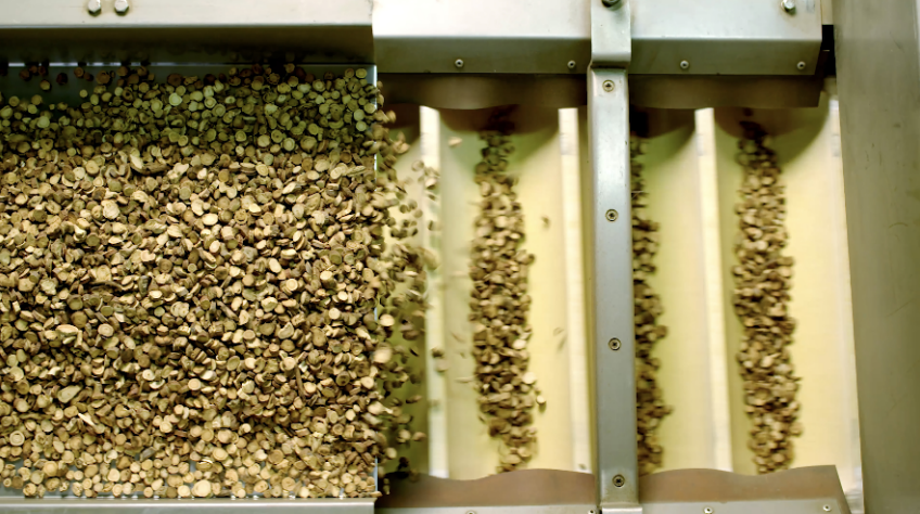 优发国际·随优而动一触即发